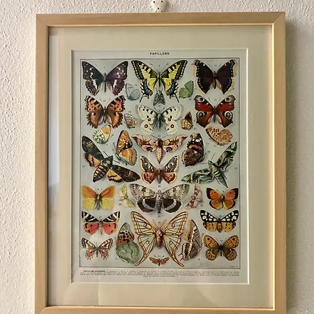 Hébergement de vacances Casa Davide *