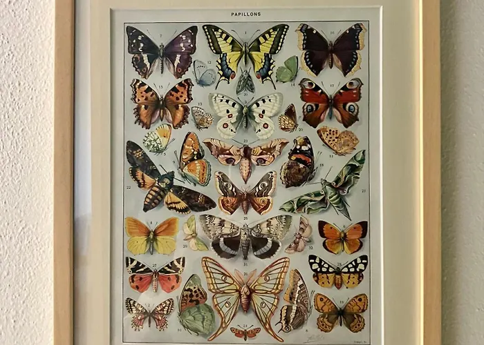 Дом отдыха Casa Davide *